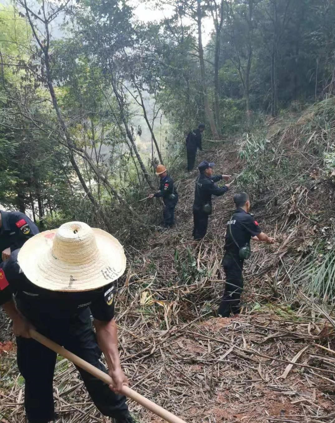 干好每一天|青山掛白我復(fù)綠，無(wú)私奉獻(xiàn)金森人——資源保護(hù)部義務(wù)突擊隊(duì)工作記實(shí)
