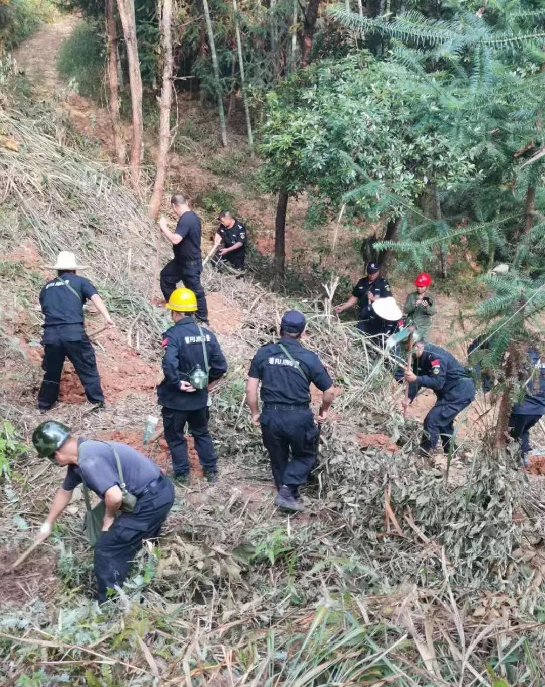 干好每一天|青山掛白我復(fù)綠，無(wú)私奉獻(xiàn)金森人——資源保護(hù)部義務(wù)突擊隊(duì)工作記實(shí)